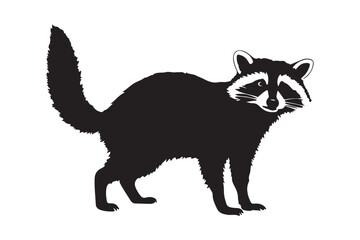 Black silhouette of a raccoon standing on a white background