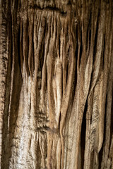 Stunning stalactite cave formations capturing nature's artistic beauty