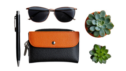Flatlay of sunglasses, wallet, pen, and succulents