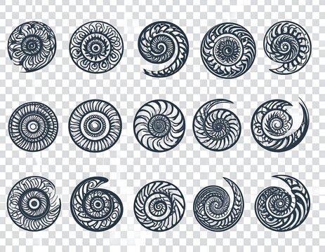 Decorative spiral shell patterns