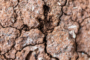 Backgrounds and textures. Close-up shot from above of a piece of dry earth. Concept of climate change and drought.