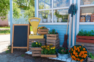 A charming rustic outdoor flower shop display with various potted flowers, wooden crates, and a...