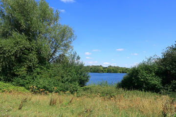 A colouful scene at Leybourne lakes surrounded by woodland