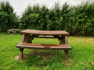 A wooden picnic table sits in a grassy field. The table is empty and surrounded by green bushes