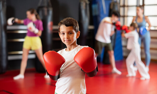 Atmosphere of sports and health, child enjoys boxing, poses in studio after training. Childs active hobby, boxing. Boy posing during training in boxing gloves.....