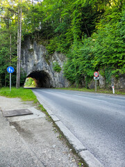 A road passes through a tunnel carved in a mountain covered with green trees. Panoramic view of...
