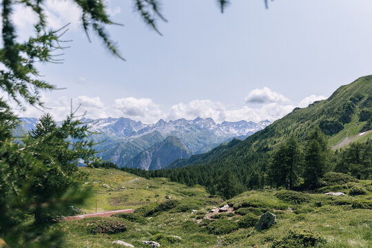 Bergpanorama auf einer Alp nahe beim Lukmanierpass in den Schweizer Alpen im Fr&uuml;hsommer