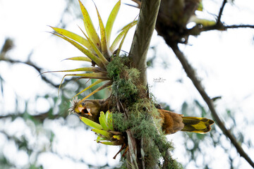 Amor por el entorno © Jasbleidy