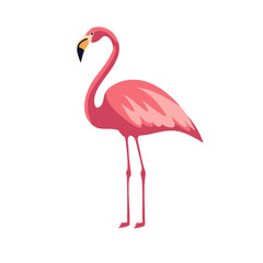 Fototapeta premium Illustrative flamingo with bright pink plumage, tall legs, and distinct bill, standing tall on a white background