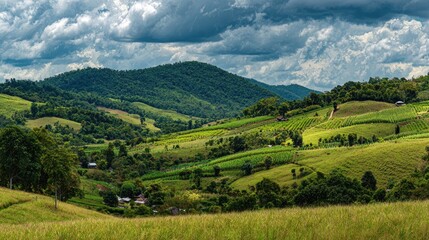 Obraz premium Lush green valley with terraced fields and hills.