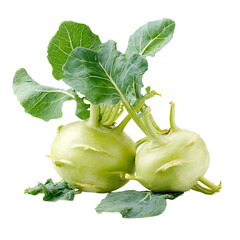 Two kohlrabi bulbs with vibrant green leaves showcasing the unique texture and shape of this nutritious vegetable Fresh produce concept