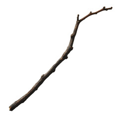 Blackthorn Twig Stick
