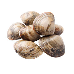 A cluster of fresh raw clams stacked closely showcasing their natural shells and potential for culinary use Ready to cook