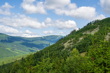 Fototapeta premium View of the Jesenik mountains, Lower Morava, Czech republic
