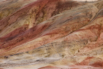 Red Gold Petrified Dunes Earthy Tones Natural Patterns Geological Formations