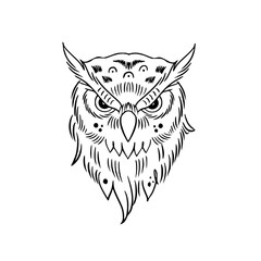 owl on a white background