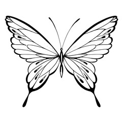 butterfly silhouette vector
