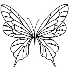 black and white butterfly