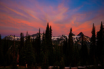 Stunning sunset over Mount Rainier, Washington. Vibrant sky with warm hues illuminating the rugged mountain peaks and surrounding forest.