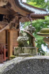 Obraz premium 愛宕山から望む関東平野 