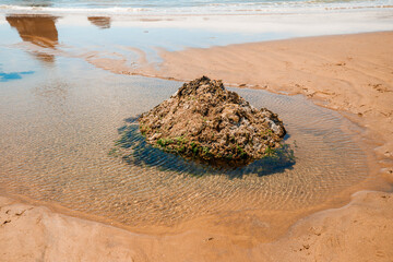 Visitors enjoying a sunny day at Cannon Beach, Oregon.