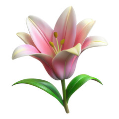 Fototapeta premium 3d pink lily flower isolated on transparent background