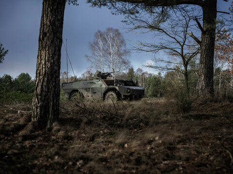 Armored reconnaissance vehicle positioned strategically among forest trees for surveillance