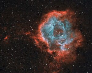 The Rosette Nebula