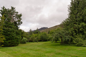 A large mountain is in the background of a lush green field