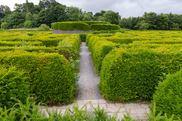 A maze of hedges with a path through it