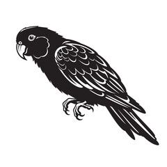 black and white silhouette of a parrot on a white background