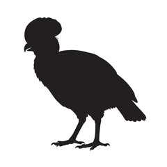 black and white silhouette of a cassowary on a white background