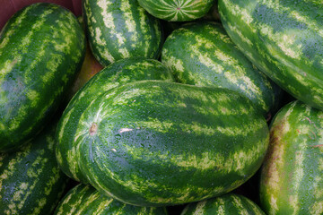 A Close-Up of Watermelons on Display