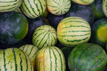 Vibrant Watermelons with Dew Drops on Display