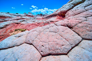 White Pocket Desert Rock Formations and Polygonal Cracks under Blue Sky