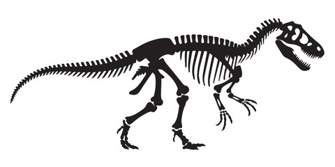 theropod dinosaur skeleton vector ai eps jpeg png realistic anatomical diagram for science and education use © AIcon Star