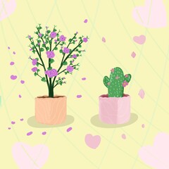 pink flowers in a pot