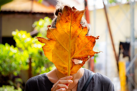young woman with autumn leaves in the city of Hội An, Vietnam