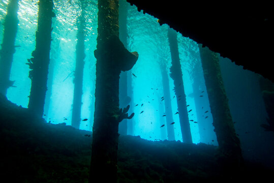 pylons of a pier underwater while scuba diving Cura&ccedil;ao