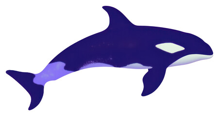 Fototapeta premium PNG Orca whale animal mammal fish.