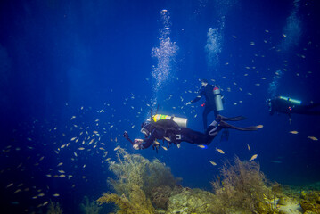 scuba diver in the sea underwater while scuba diving Curaçao