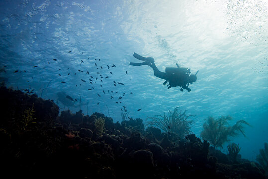 scuba diver underwater while scuba diving Cura&ccedil;ao