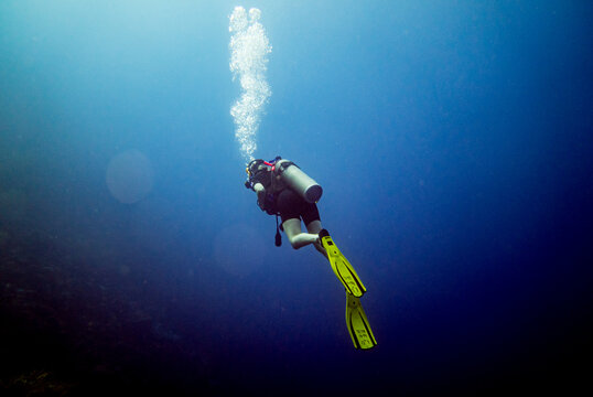 scuba diver in the sea underwater while scuba diving Cura&ccedil;ao