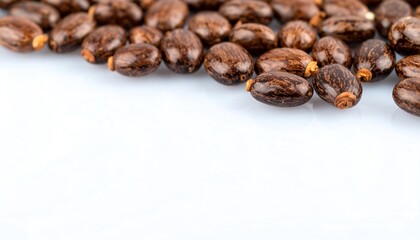 Obraz premium Close-up of many dark brown seeds on a white surface