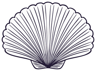 Stylized seashell illustration with radiating lines, vintage ocean motif, summer theme