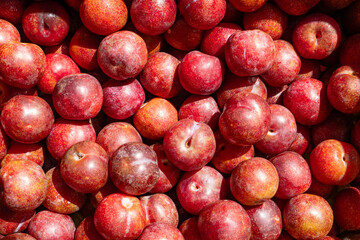 fresh plums at horizontal composition