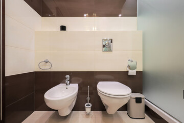 Toilet bowl with bidet in the bathroom