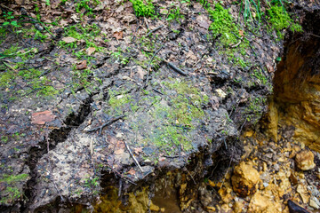 Land sliding into a ravine due to undermining by water