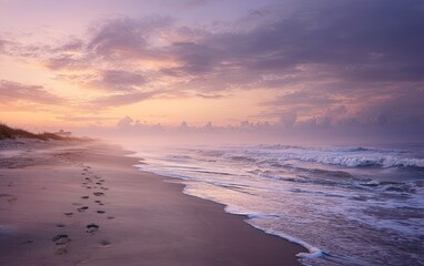 Misty sunrise beach scene