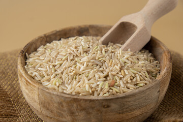 Brown rice in neutral beige background copy space. Whole spelt grain species. High protein fiber-rich vegan plant based food ingredient. Gluten free superfood healthy nutritional dietary alternative